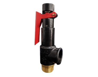 Thread Cast Iron Steam Safety Valve