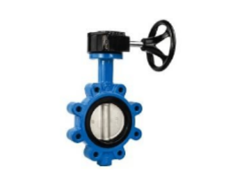 Lugged Butterfly Valve