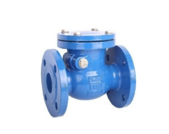 Flanged Swing Check Valve