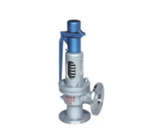Cast Iron Pressure Relief Valve