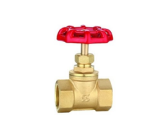 Threaded Globe Valve
