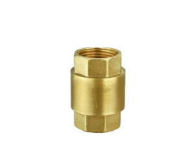 Threaded Vertical Check Valve