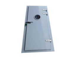 Door With Observation Window